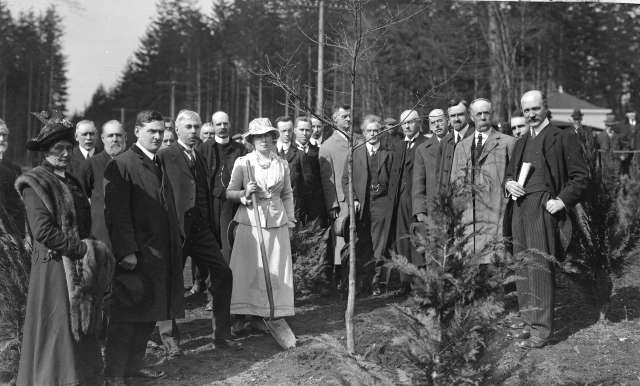 tr-p24-mrs-jonathan-rogers-plants-an-oak-to-commemorate-william-shakespeares-tercentary-near-pipeline-road-1916-frank-henry-gowen-photo